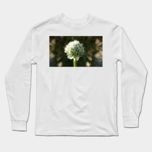White Onion Flower by Avril Thomas Long Sleeve T-Shirt